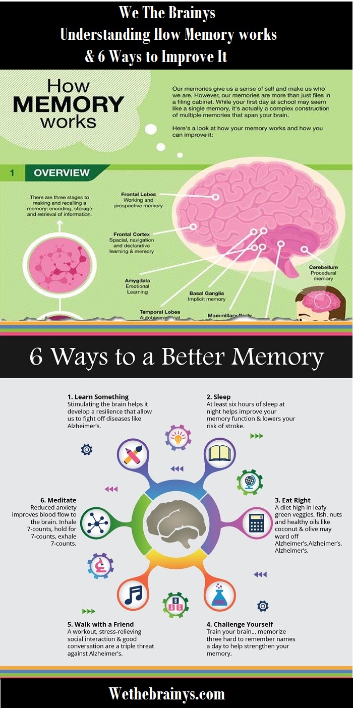 Understanding Memory & 6 Ways To Improve It