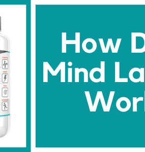 How Does Mind Lab Pro Work