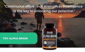 brain inflammation supplements