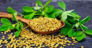 Fenugreek