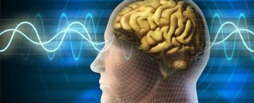 what is nootropic cycling