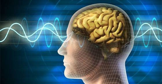 what is nootropic cycling