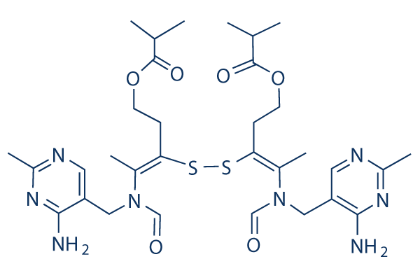 A Primer on Sulbutiamine