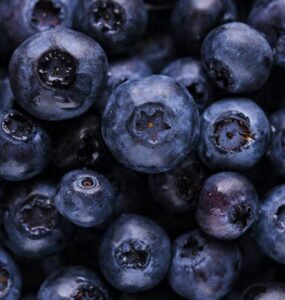 Blueberries Brain Food