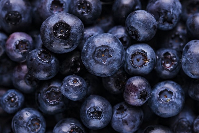 Blueberries Brain Food